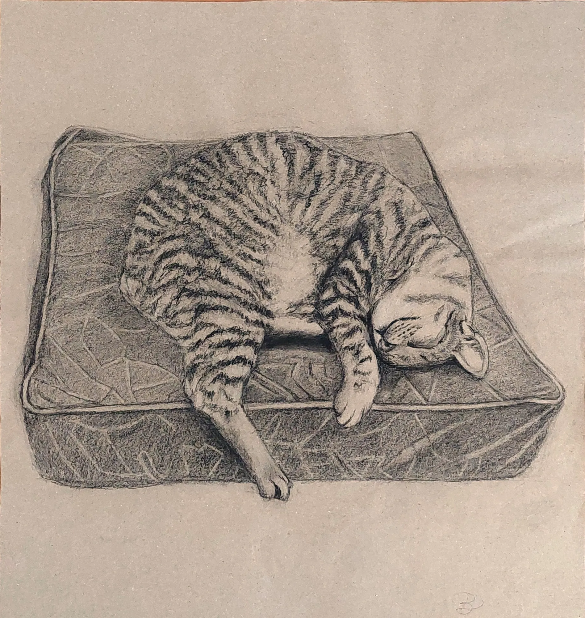 Slika „Mačak na jastuku“, ugljen na papiru, 48 × 52 cm, Biljana Skrobonja