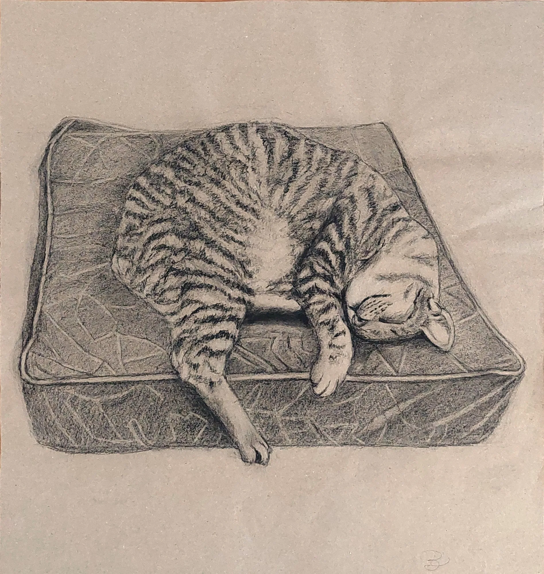 Slika „Mačak na jastuku“, ugljen na papiru, 48 × 52 cm, Biljana Skrobonja