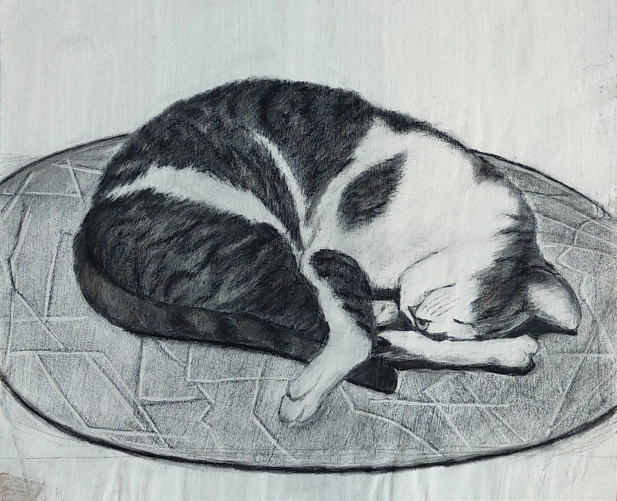 Slika „San“, ugljen na papiru, 45 × 37 cm, Biljana Skrobonja