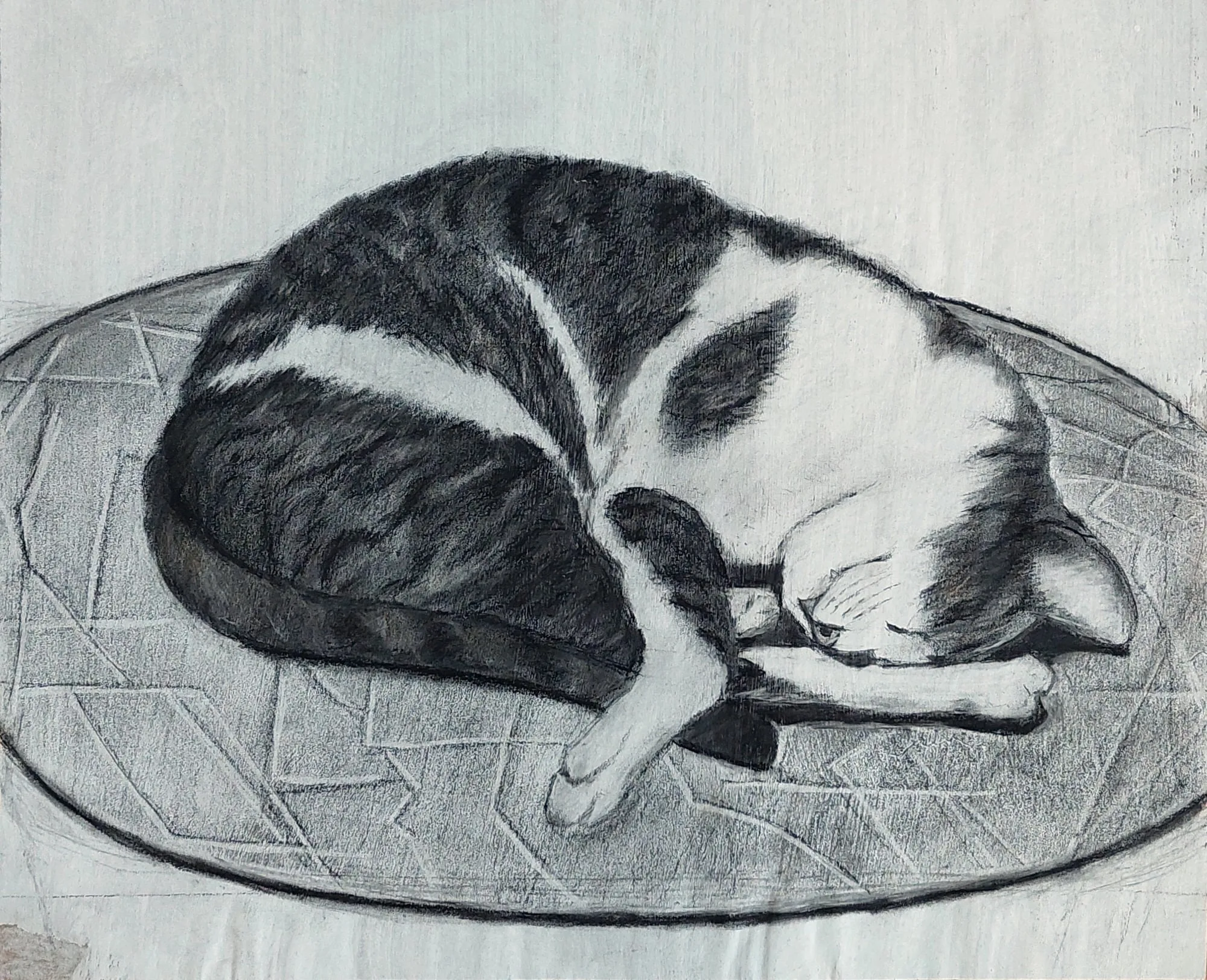 Slika „San“, ugljen na papiru, 45 × 37 cm, Biljana Skrobonja